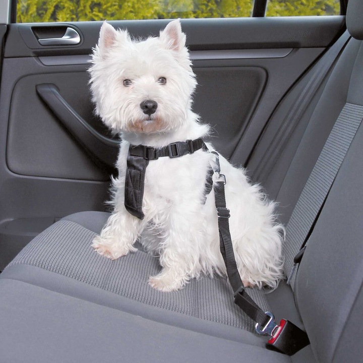 Produktbild Trixie Auto-Geschirr (XS, Hund, Allgemein)