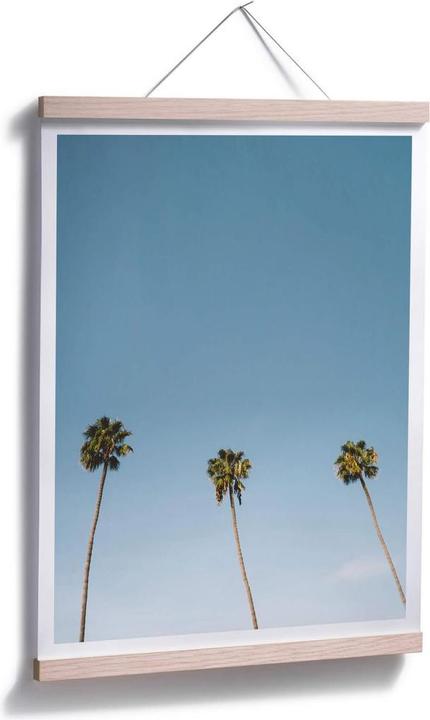 Produktbild Trenddeko Palmen 02 (60 x 80 cm)