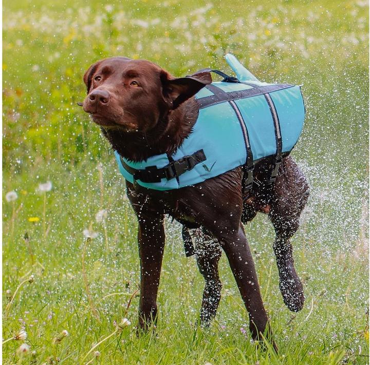 Image du produit Nobby Sharki (M, Gilet de sauvetage pour chien)