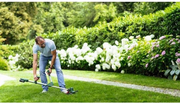 Actual product image Bosch Home & Garden Universal GrassCut (Trim line)