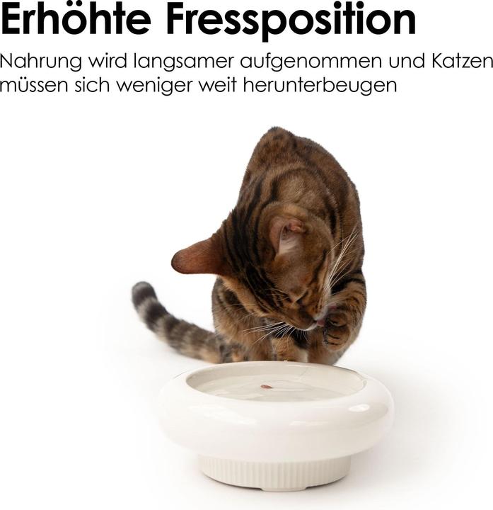 Image du produit LucyBalu MYCO Katzennapf