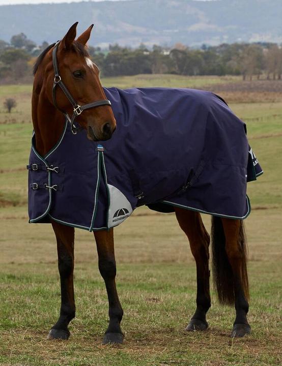 Weatherbeeta Comfitec Plus Dynamic 220g (125 cm)