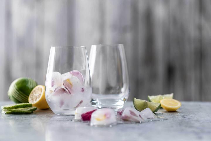 Image du produit Schott Zwiesel Allroundglas Forté 79 4 Stück (0.56 l, 4 x)