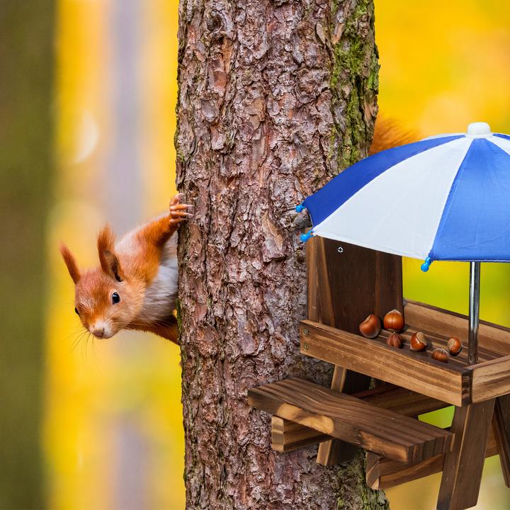 Produktbild Relaxdays Eichhörnchentisch