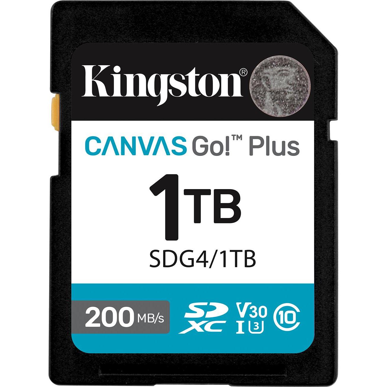 Kingston Card Canvas Go Plus SDG4 (1000 GB, SDXC, U3, UHS-I), Scheda di memoria, Blu, Nero, Bianco