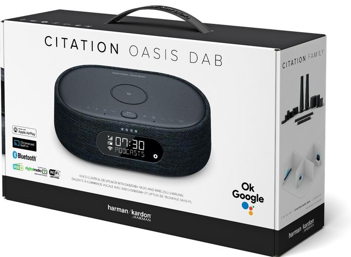 Actual product image Harman/Kardon Citation Oasis (Bluetooth, Wi-Fi)