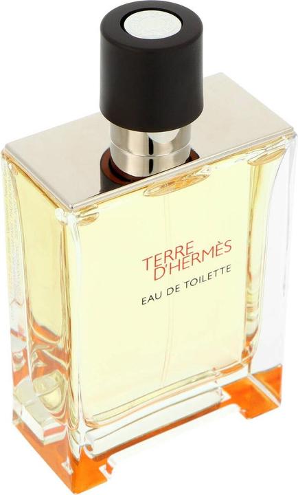 Image du produit Hermès Terre D' (Eau de toilette, 100 ml)