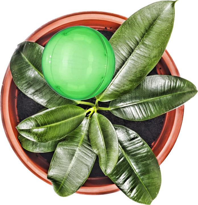 Actual product image Relaxdays Watering Globes, Set of 4 (Irrigation balls)