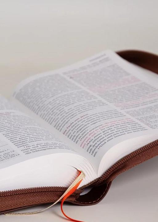 Produktbild Neues Leben. Die Bibel, Standardausgabe, ital. Kunstleder mit Reissverschluss (Deutsch, 2022)