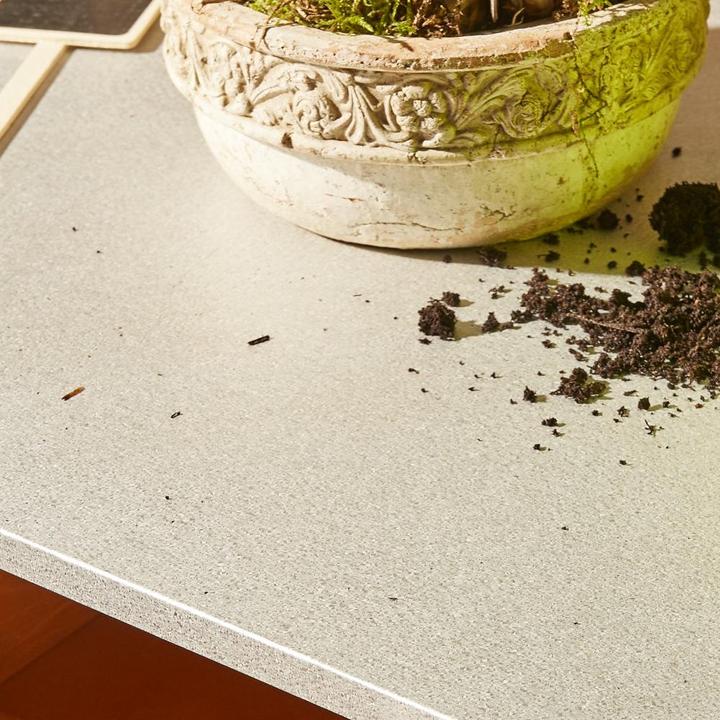 Productafbeelding Siena Garden Paola planttafel