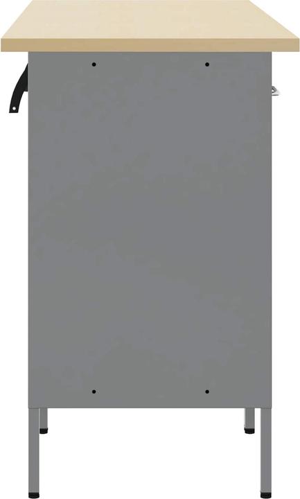 vidaXL Armoire d'atelier (55 cm, 150 cm)