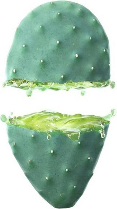 Actual product image Weleda Prickly Pear Hydrating Lotion (30 ml, Day cream)