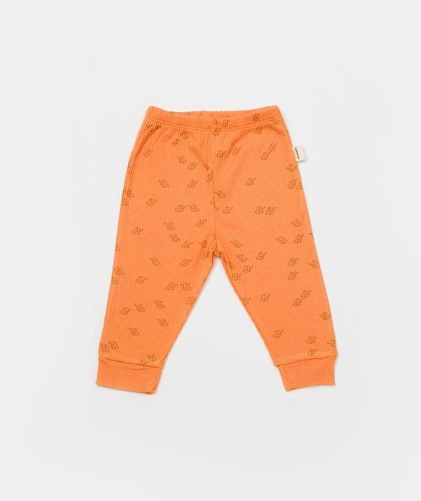 Actual product image BabyCosy 2 Pcs Pants (74)