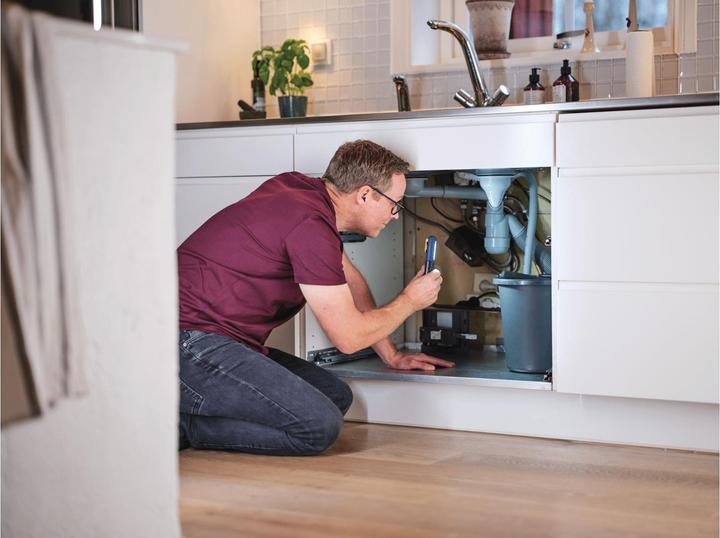 Actual product image Rapid The Inspector torch (150 lm)