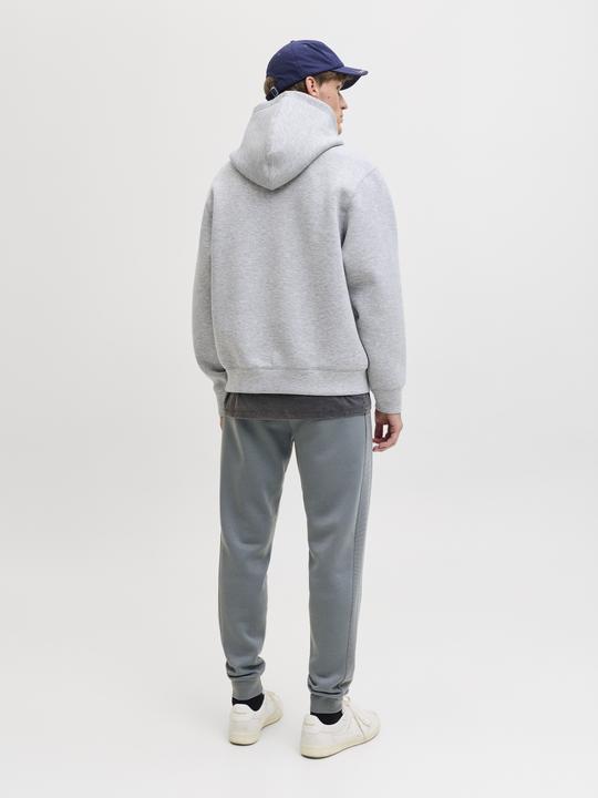 Produktbild Jack & Jones Regular Fit Jogginghose Jogginghose (XS)