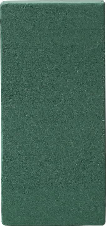 Actual product image Oasis Fresh brick for fresh flowers