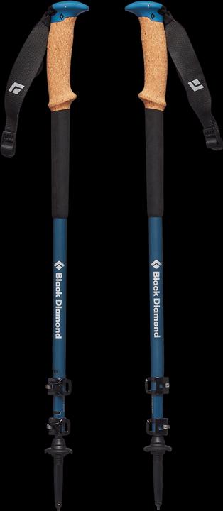 Image du produit Black Diamond Alpine Carbon Cork WR (100 - 130 cm)