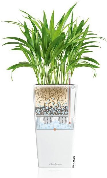Produktbild Lechuza Cubico (29.50 cm)