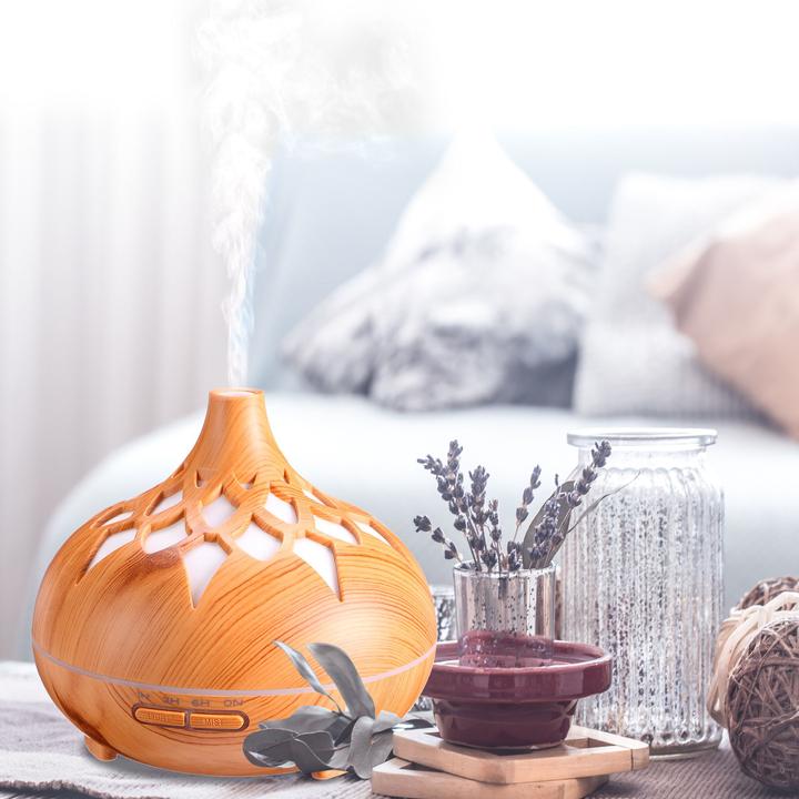 Produktbild Sixtol Aroma Diffuser Palm Hellholz 500ml (500 ml)