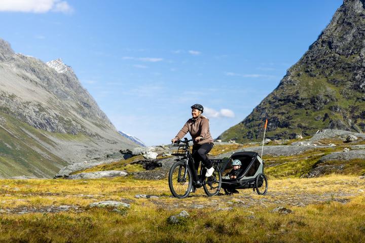 Image du produit hamax Outback NEXT 2 in 1