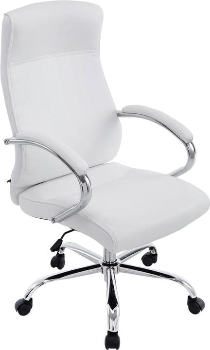 Immagine prodotto CLP Big Lausanne (44 - 55 cm)