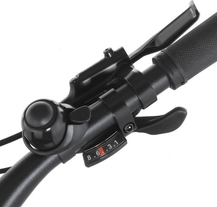 Actual product image Fischer Terra 2.1 Junior 38 cm (38 cm)