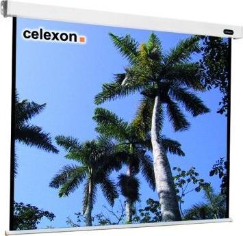 Actual product image Celexon Rollo Professional (122.44", 1:1)