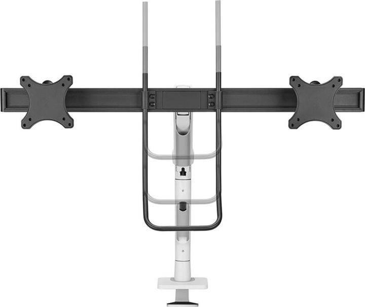 Actual product image Neomounts Select Desk Mount, double disp (Dining table, 27.01")