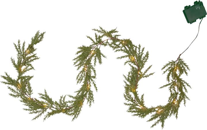 Star Trading Thuja