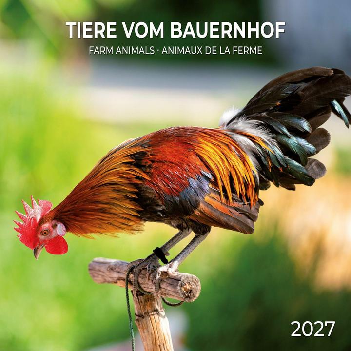 Produktbild Tiere vom Bauernhof / Farm Animals 2027