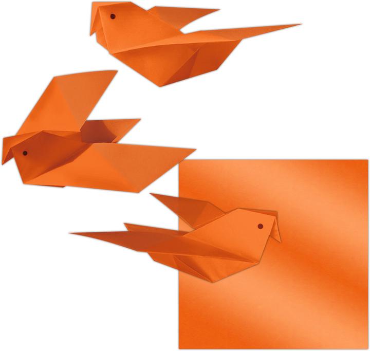 Immagine prodotto Ursus Cartelle di carta trasparente, 14 x 14 cm (42 g/m², 100 x)