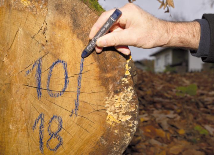 Immagine prodotto Pica Marcatore (12x)