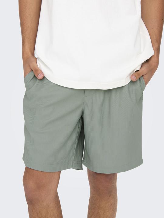 Produktbild Only & Sons Onstel Life Plizze Shorts Noos (L)