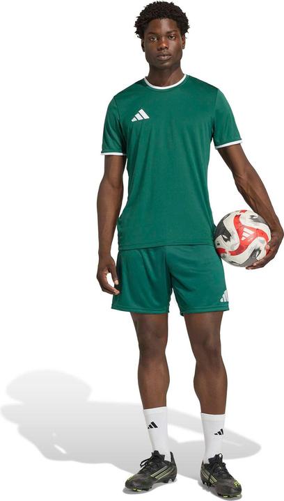 Image du produit Adidas Entrada Shorts (M)