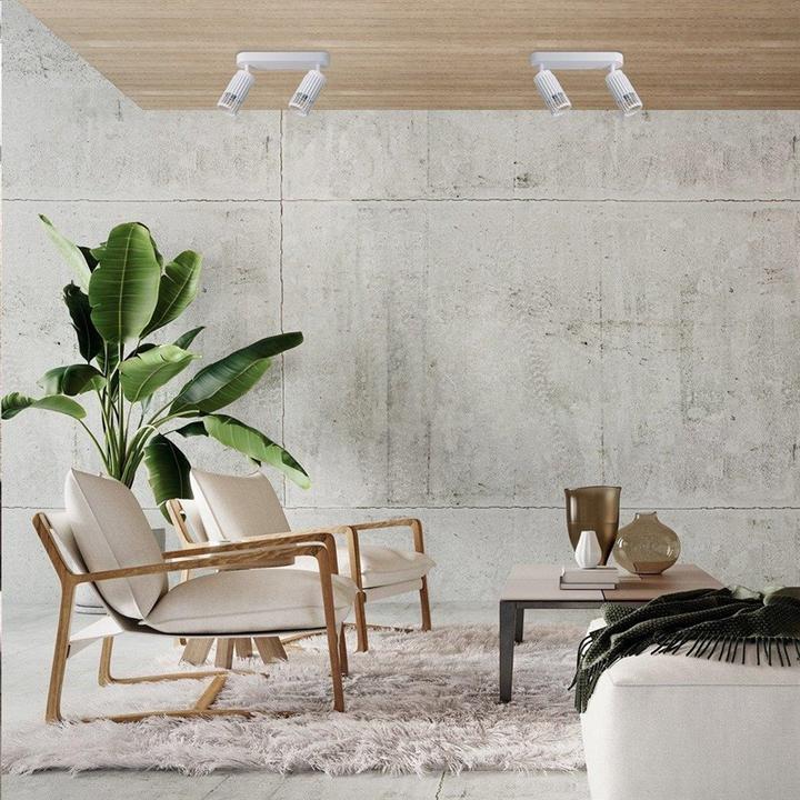 Image du produit Domoletti CEILING LIGHT ALVEO 2XGU10 ML0305 WHITE (110 x 70 x 37 cm)