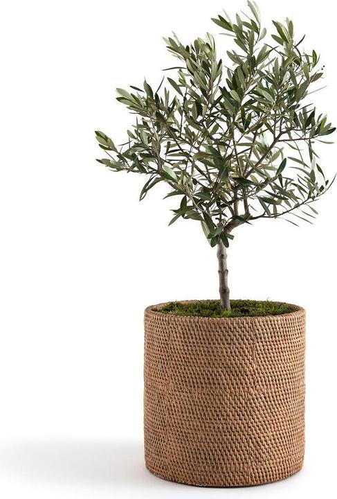 Produktbild AM.PM Natte (30 x 30 cm)