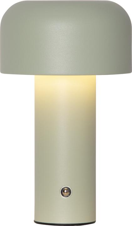 Produktbild Star Trading Akkuleuchte Bobby