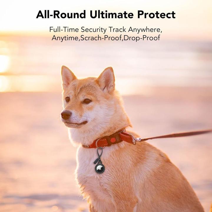 Immagine prodotto Tech-Protect Rough 2-pack case for Apple AirTag - black