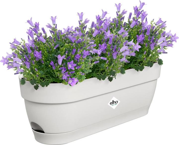 Image du produit Elho Vibia Campana (18.20 cm)