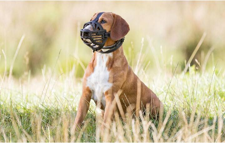 Image du produit Trixie Muselière Muzzle Flex (M, Chien, Général)