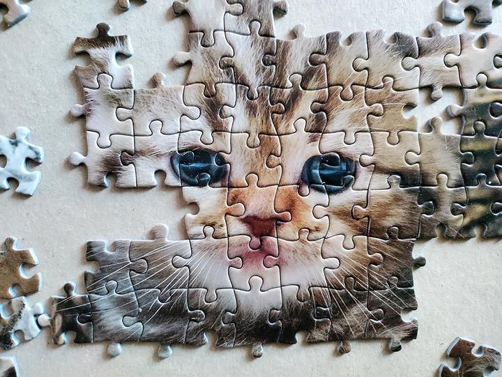 Produktbild Tactic Cute Kittens 1000 pcs (1000 Teile)