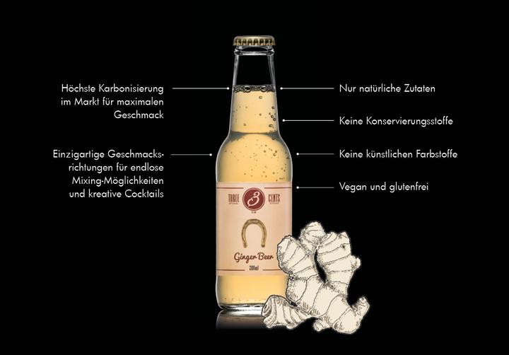 Actual product image Three Cents Ginger Beer (24 x 20 cl)
