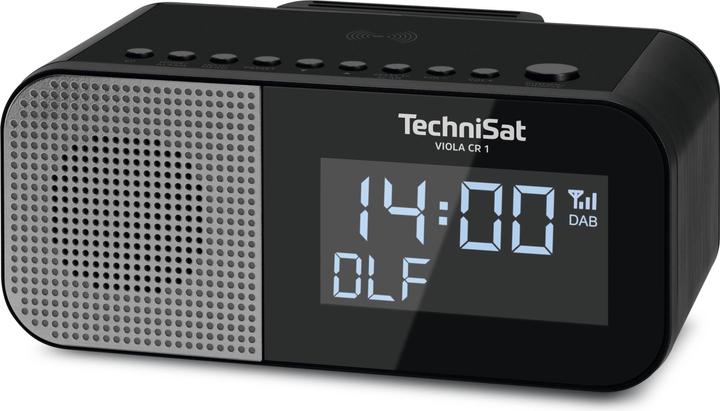 TechniSat Viola CR1