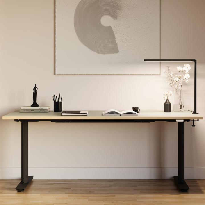 Produktbild ofinto Lumino Desk (530 lm)