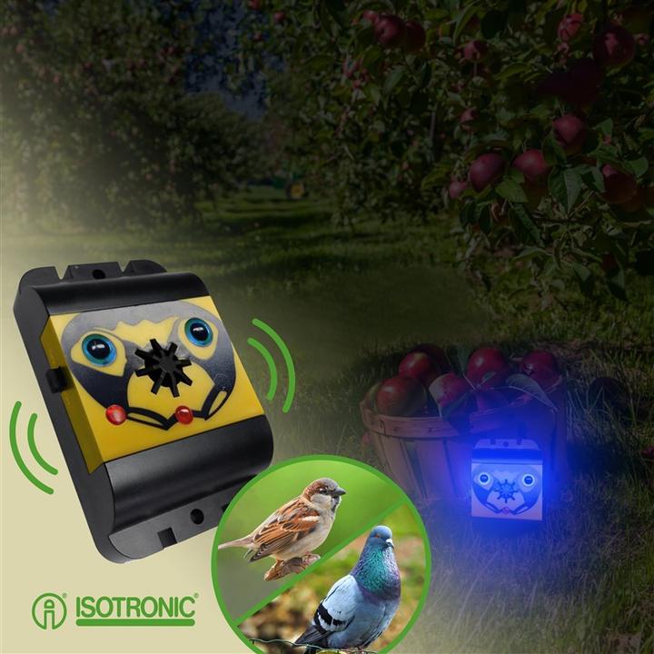 Image du produit Colibri L'oeil du diable