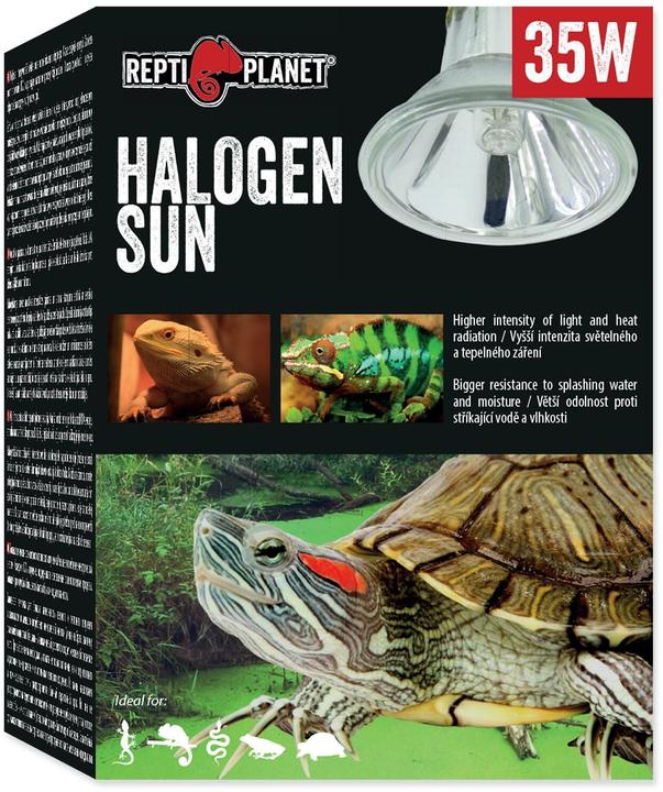 Actual product image Repti Planet Terrarium lamp halogen spot 35 W (UVA, Splashproof)