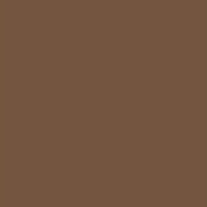Image du produit Duni Servir (250 pcs, 24 x 24 cm)