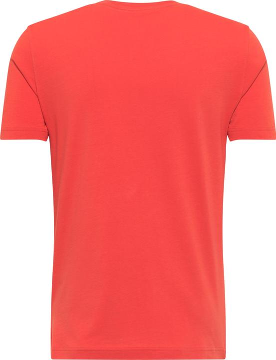 Actual product image Mustang Alex C Print (XL)