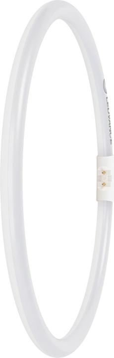 Actual product image Ledvance LED ring tube T5FC, 2GX13 (2GX13, 2900 lm)