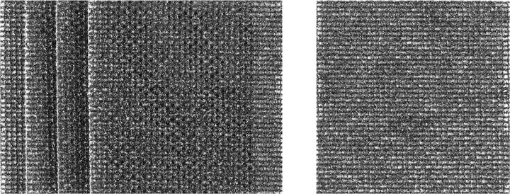 Produktbild DeWalt Schleifgitter (40)